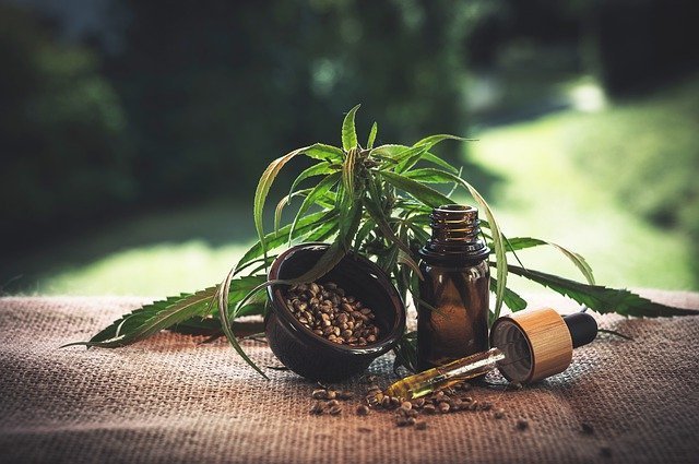 Fleurs de CBD : Un bon Cannabis Thérapeutique !
