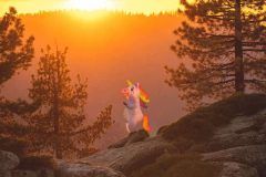Une licorne gonflable